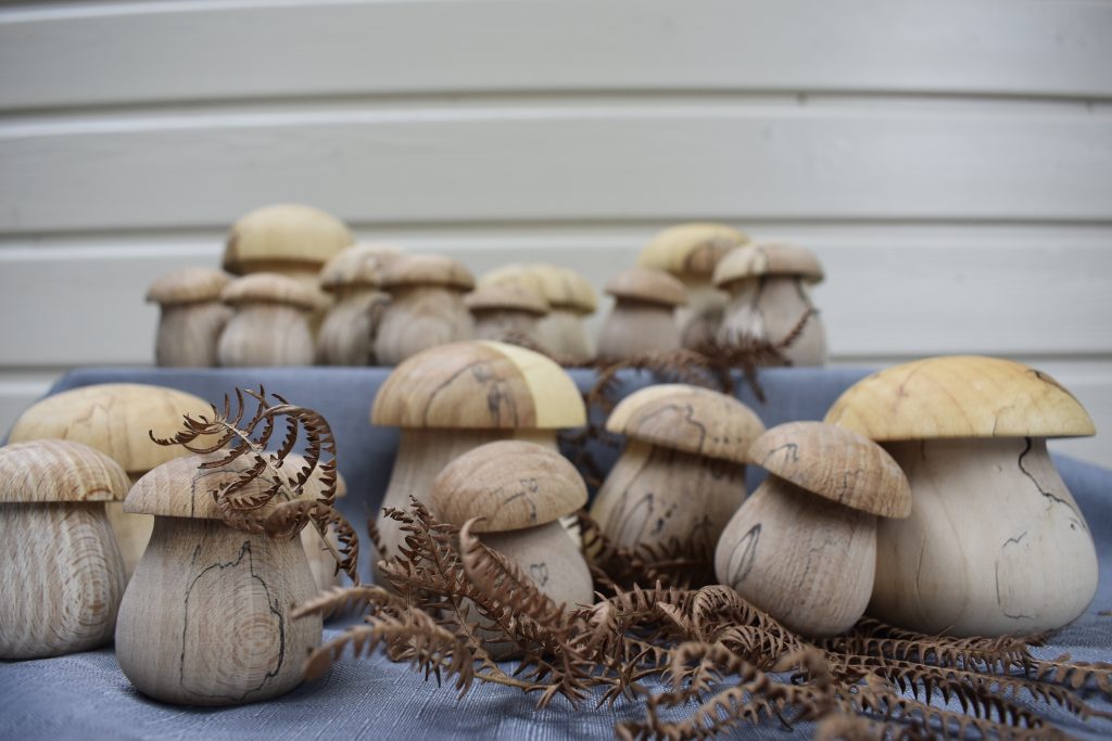 Petits cèpes en hêtre échauffé