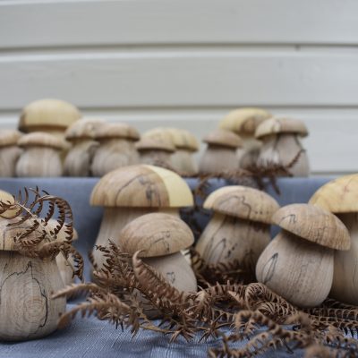 Petits cèpes en hêtre échauffé