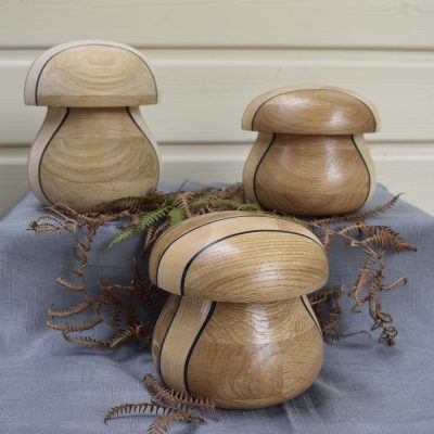Champignons en chêne, frêne, alucobond