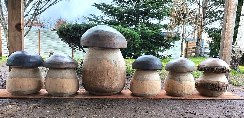 Champignons Géants - bois vert – Image 9
