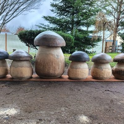 Champignons Géants - bois vert