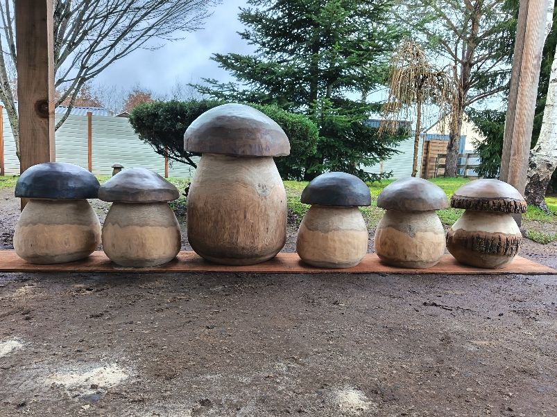 Champignons Géants - bois vert