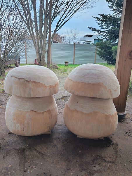 Champignons Géants - bois vert – Image 5