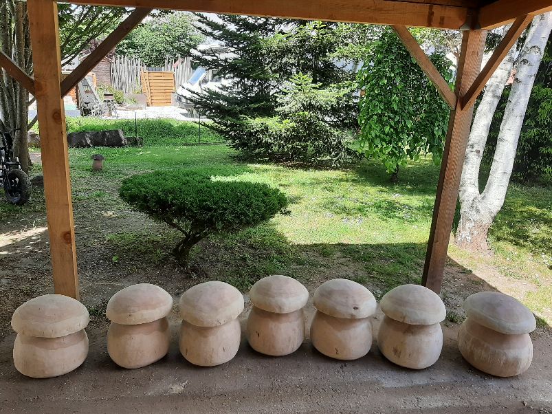 Champignons Géants - bois vert – Image 6