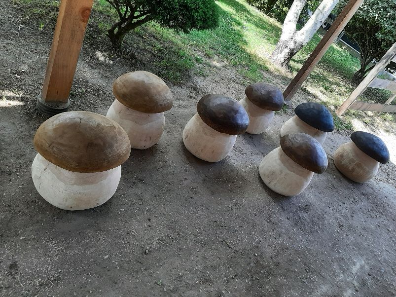 Champignons Géants - bois vert – Image 2