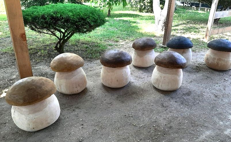 Champignons Géants - bois vert – Image 8
