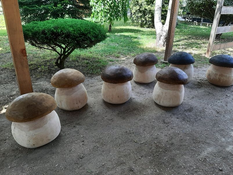 Champignons Géants - bois vert – Image 3