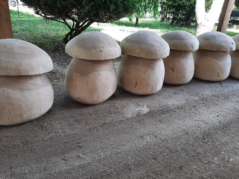 Champignons Géants - bois vert – Image 4