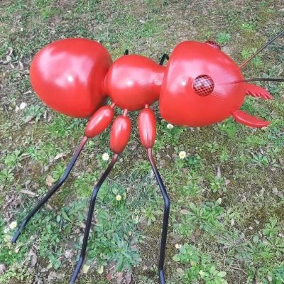 Fourmi Rouge en bois de sapin blanc contre-collé, chêne et acier
