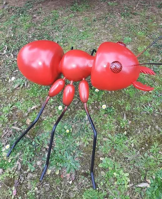 Fourmi Rouge en bois de sapin blanc contre-collé, chêne et acier