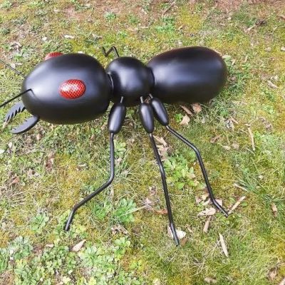 Fourmi Noire en bois de sapin blanc contre-collé, chêne et acier