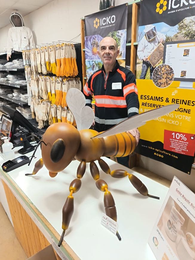Abeille en bois de sapin blanc contre-collé, chêne, plexiglas et acier – Image 2