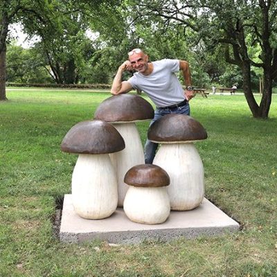 Champignons Géants - bois vert