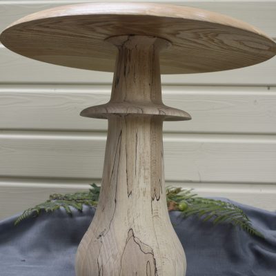 Champignon N°01A Hêtre échauffé frêne olivier