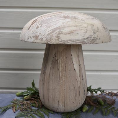 Cèpe N°01 bois de hêtre échauffé