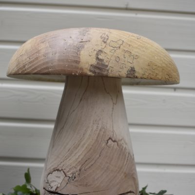 Cèpe N°02 bois de hêtre échauffé