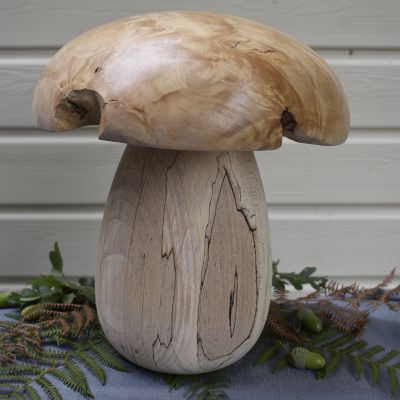 Champignon N°02B Hêtre échauffé et loupe de bouleau