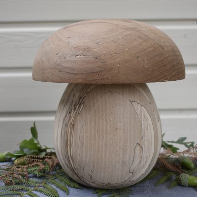Cèpe N°03 bois de hêtre échauffé