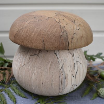 Cèpe N°04 bois de hêtre échauffé