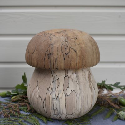 Cèpe N°05 bois de hêtre échauffé