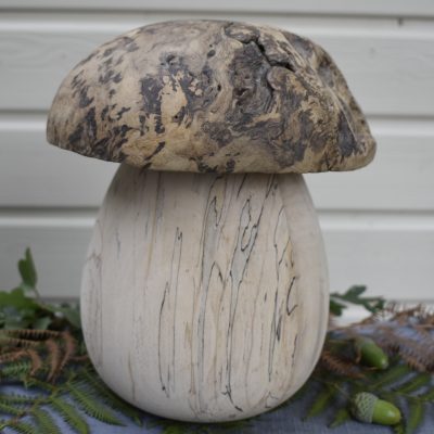 Champignon N°50 Frêne échauffé et loupe de chêne