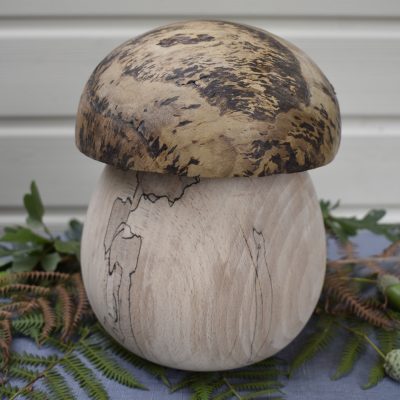 Champignon N°100 Frêne échauffé et loupe de chêne