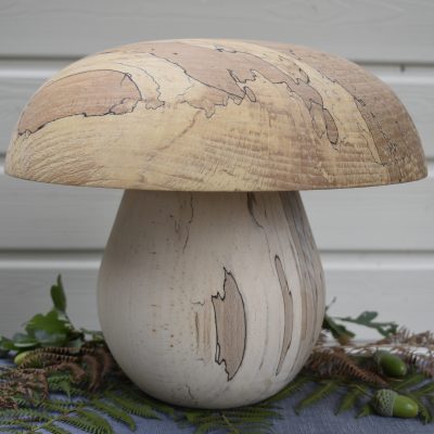 Champignon N°07 Frêne échauffé 36 cm ⌀ 33