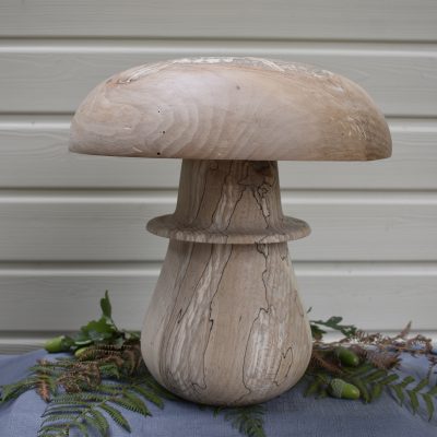 Champignon N°08 Frêne échauffé 36 cm ⌀ 34