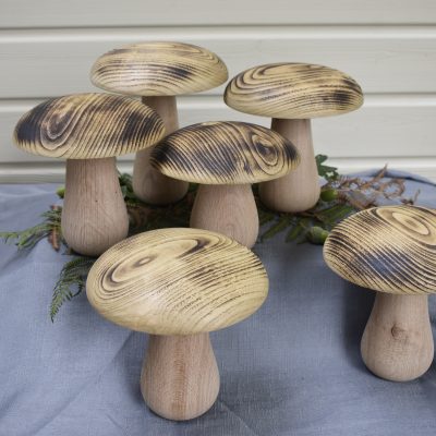 Cèpes en bois de chêne et châtaignier 15-21cm ⌀ 17-18