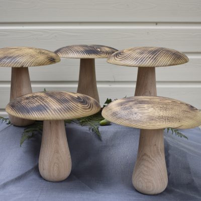 Cèpes en bois de chêne et châtaignier 23 cm ⌀ 23