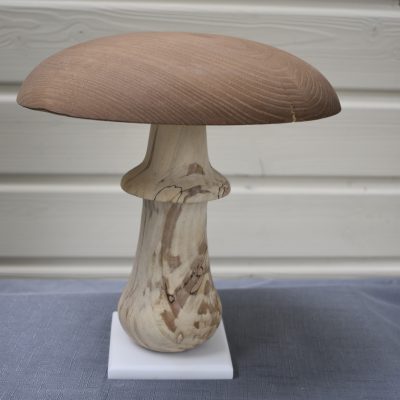 Champignon N°01 Châtaignier, Hêtre échauffé sur socle en corian