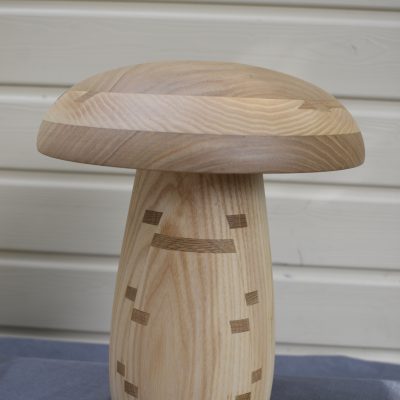 Champignon N°11 Hêtre échauffé, Frêne blanc, Insert de chêne