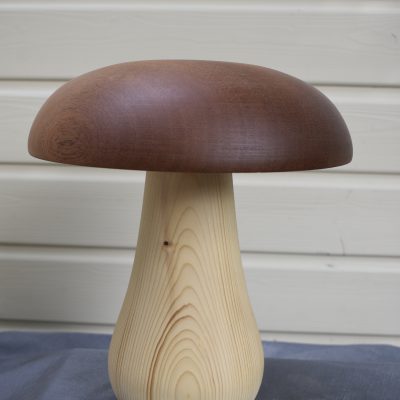 Champignon N°09A bois de Sipo et sapin blanc