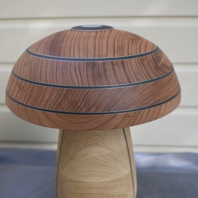 Champignon N°12 Chêne, Séquoia, Insert alucobond