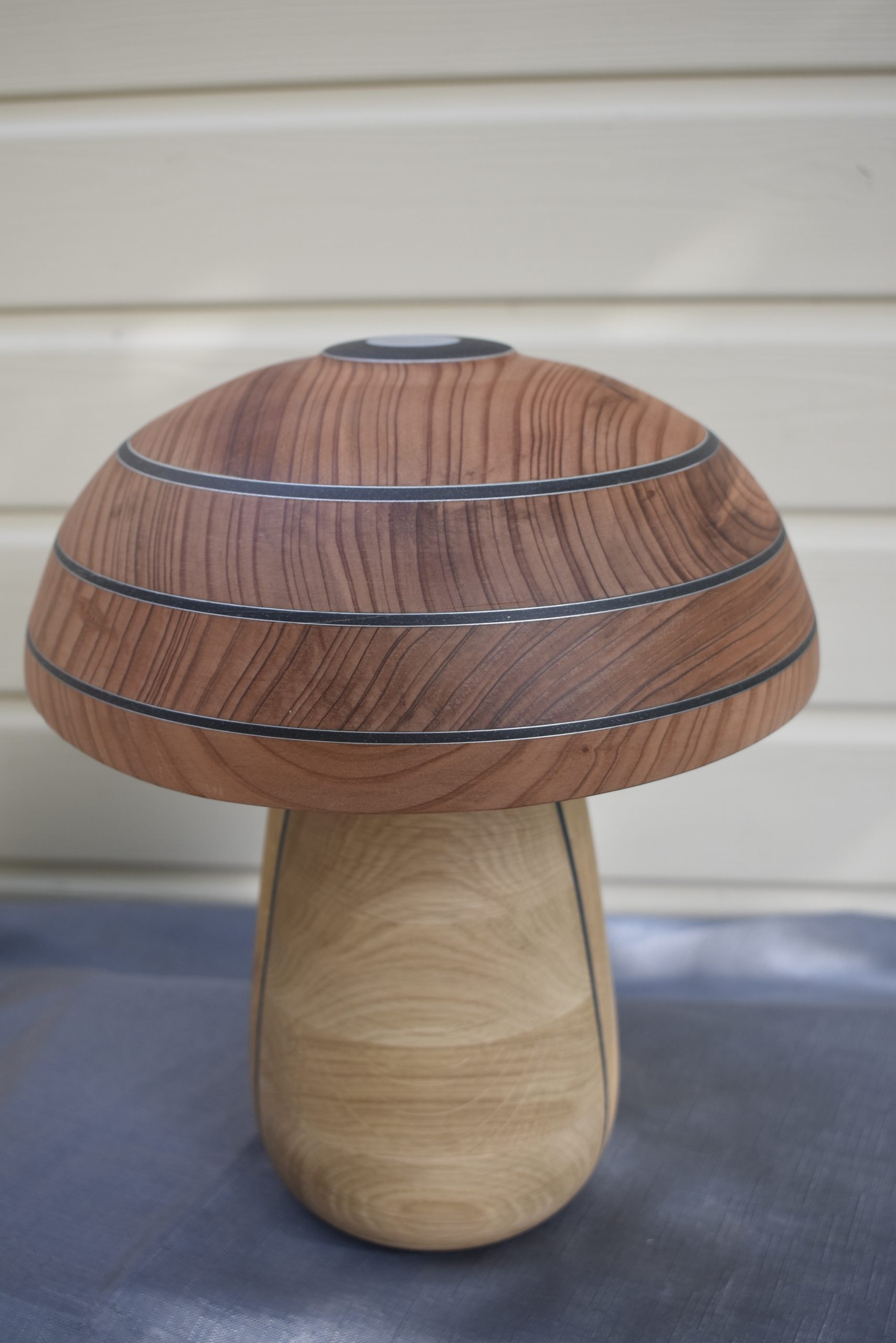 Champignon N°12 Chêne, Séquoia, Insert alucobond