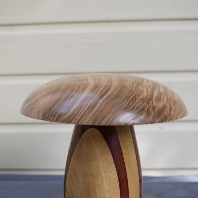 Champignon N°13 Acacia, Padouk, Frêne olivier