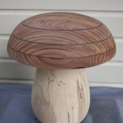 Champignon N°14 Hêtre échauffé, Séquoia, Wengé