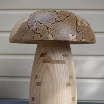 Champignon N°15 Hêtre échauffé, Frêne blanc, Insert de chêne