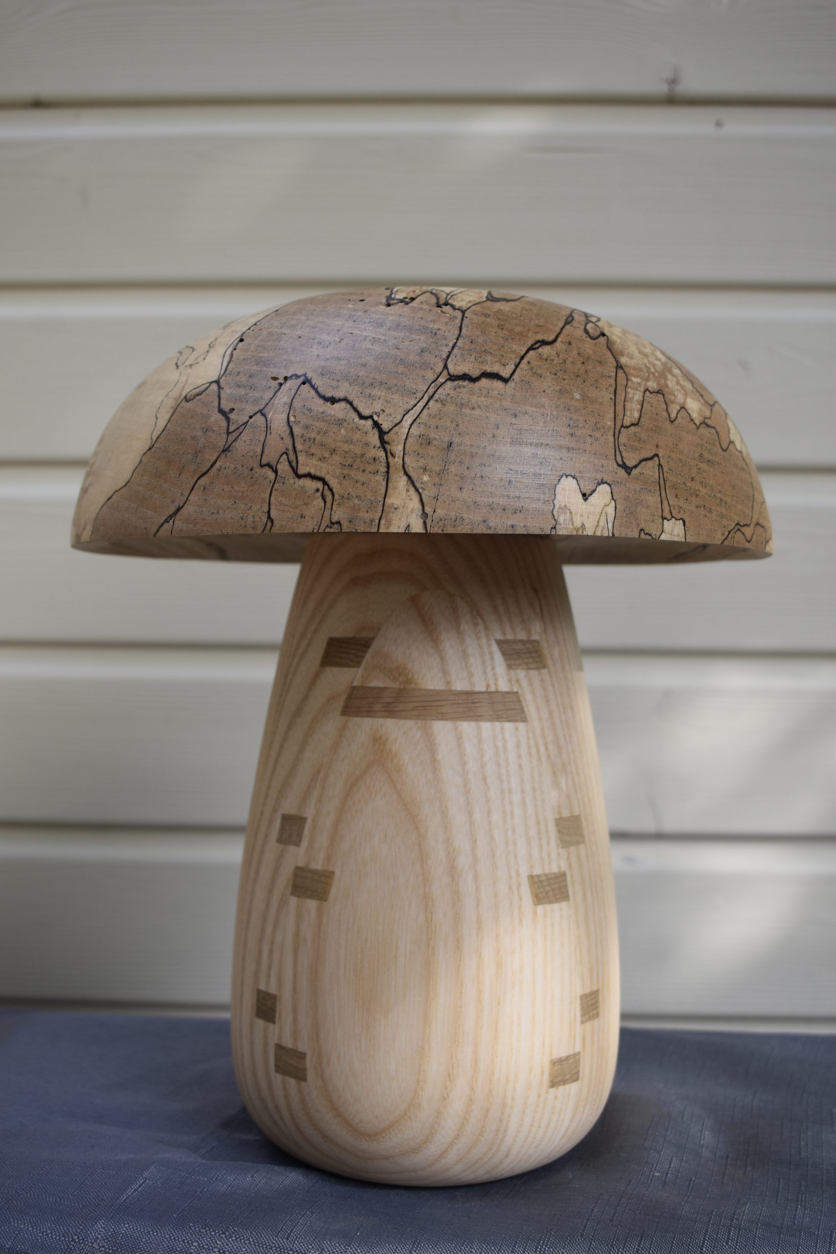 Champignon N°15 Hêtre échauffé, Frêne blanc, Insert de chêne