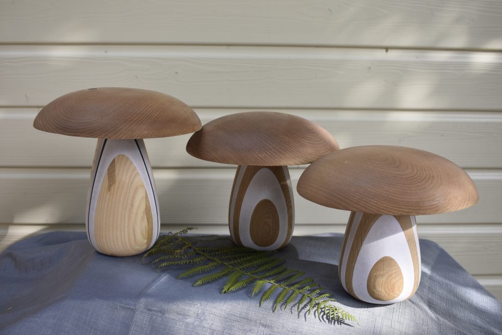Champignons Chêne, Châtaignier, PVC blanc 18/23cm ⌀ 20/24