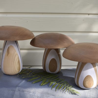 Champignons Chêne, Châtaignier, PVC blanc 18/23cm ⌀ 20/24