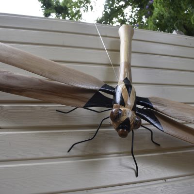 Libellule en bois de hêtre échauffé et châtaignier