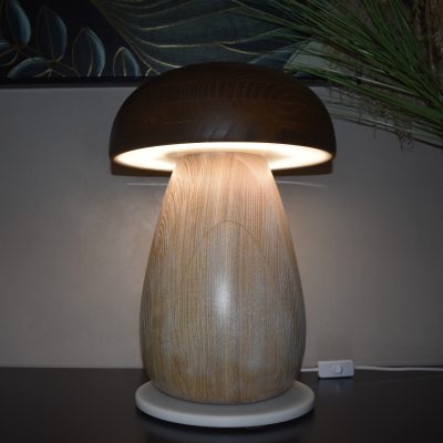Lampe cèpe LED N°01