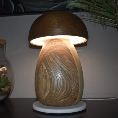 Lampe cèpe LED N°02