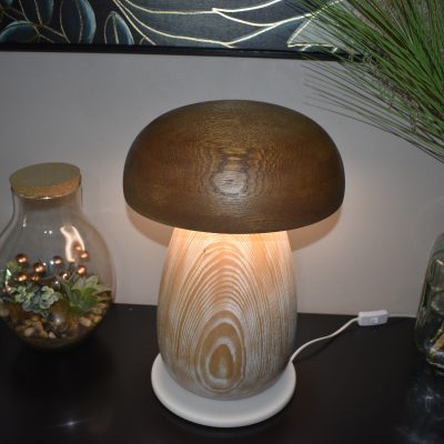 Lampe cèpe LED N°03