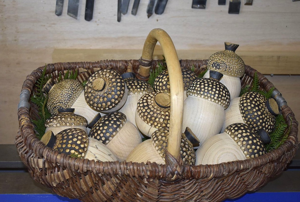 Glands en châtaignier / hêtre échauffé / chêne