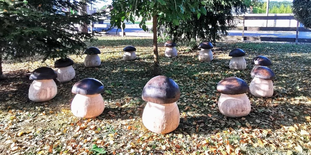 Champignons Géants - bois vert – Image 10