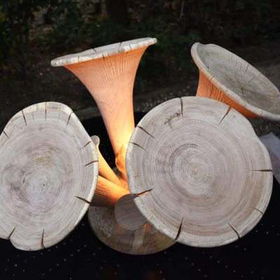 Lampe Girolle No2